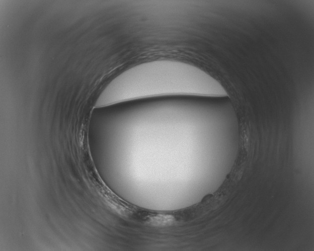 X0000085820374200703161102
