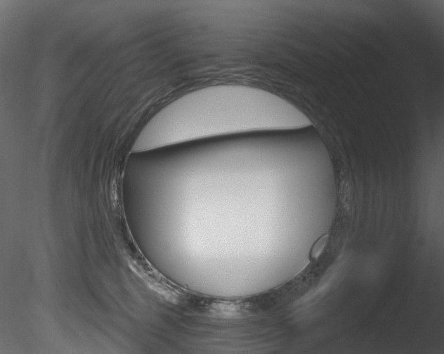 X0000085820375200703161102