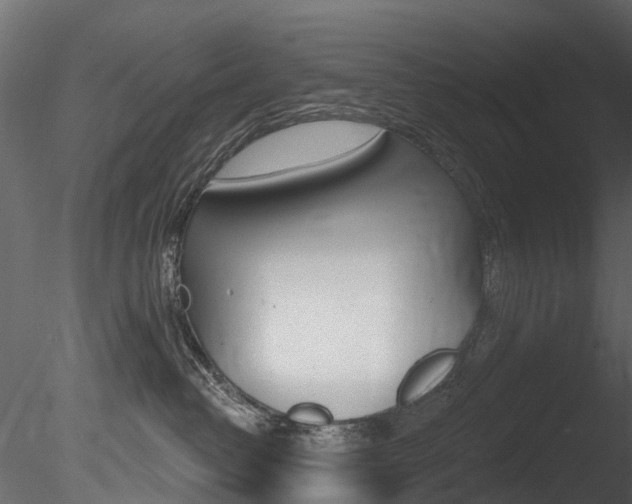 X0000085820382200703161102