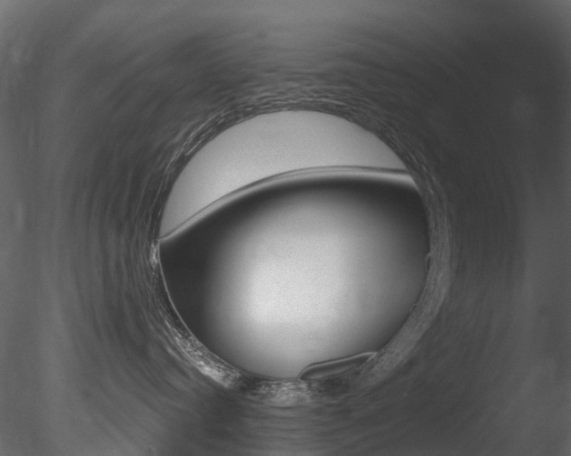 X0000085820384200703161102