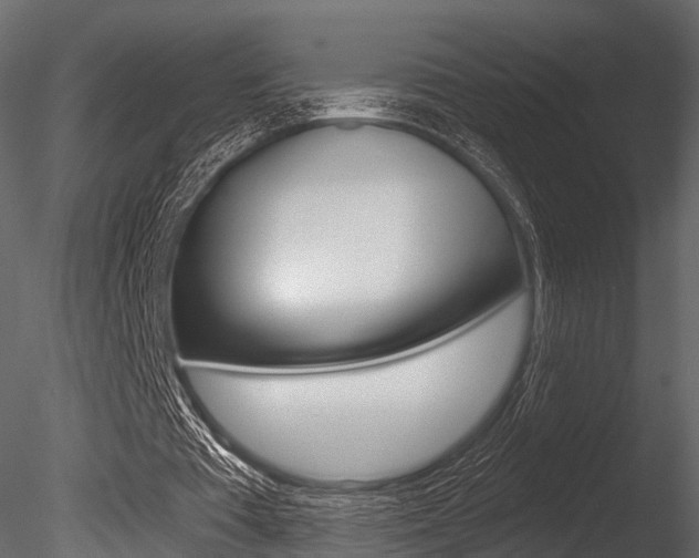 X0000085820385200703161102