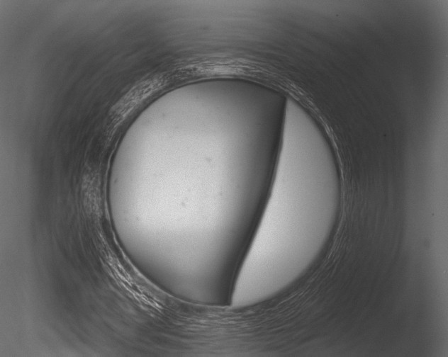 X0000085820386200703161102