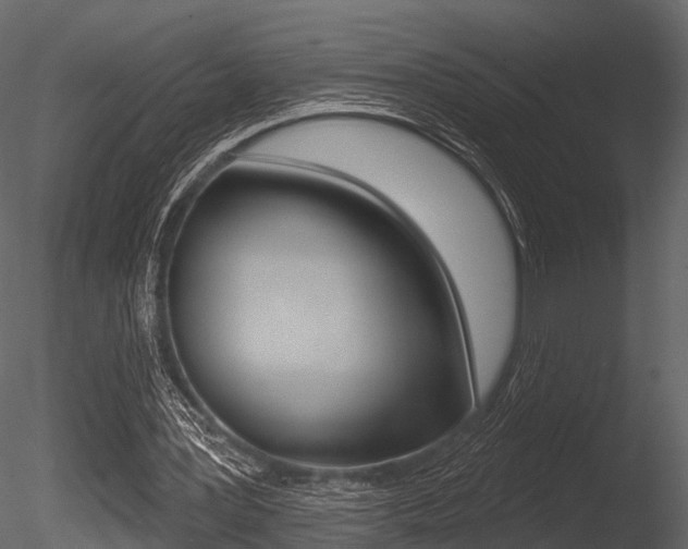 X0000085820387200703161102
