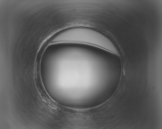 X0000085820388200703161102