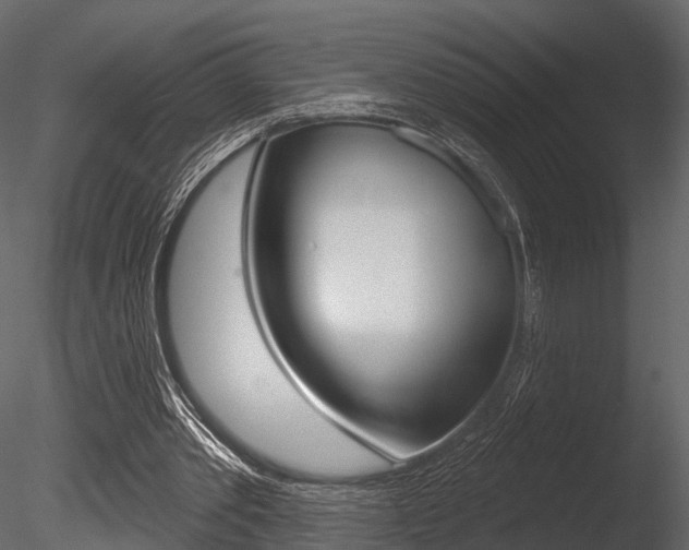 X0000085820389200703161102
