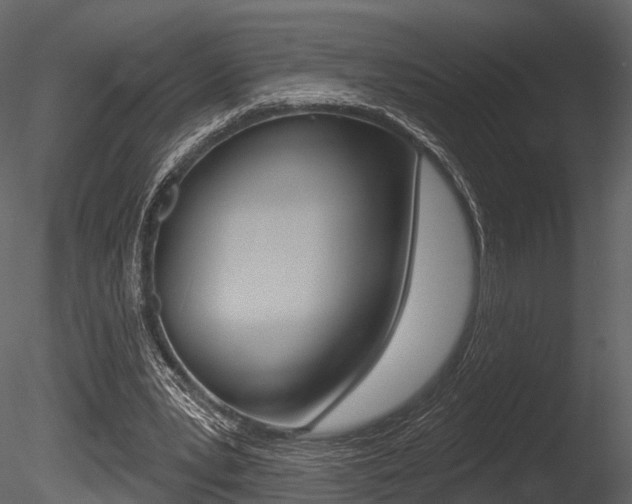 X0000085820391200703161101