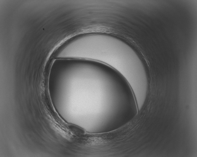X0000085820392200703161101