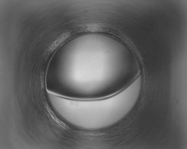 X0000085820393200703161101