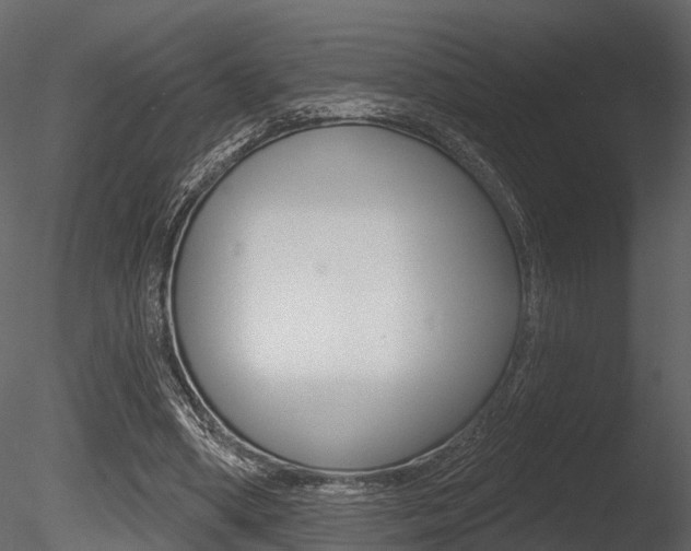 X0000085820394200703161101