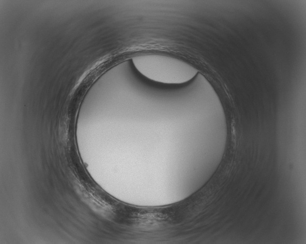 X0000085820396200703161101