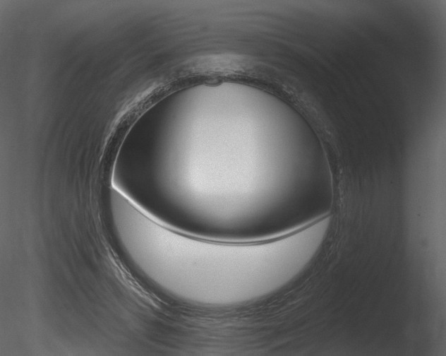 X0000085820399200703161101