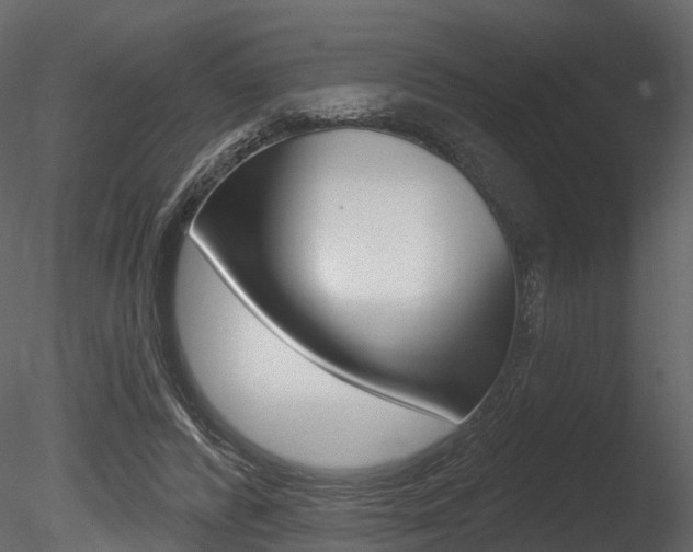 X0000085820400200703161101