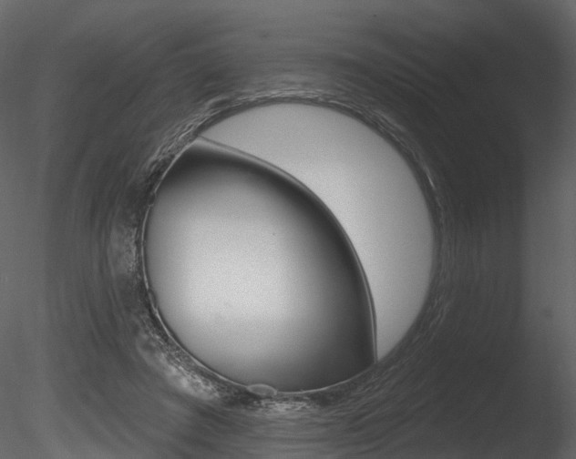 X0000085820401200703161101