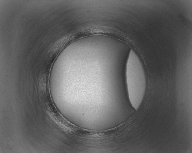 X0000085820402200703161101