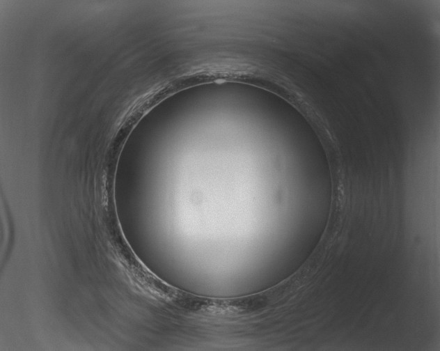 X0000085820403200703161101
