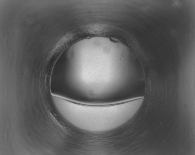 X0000085820404200703161101