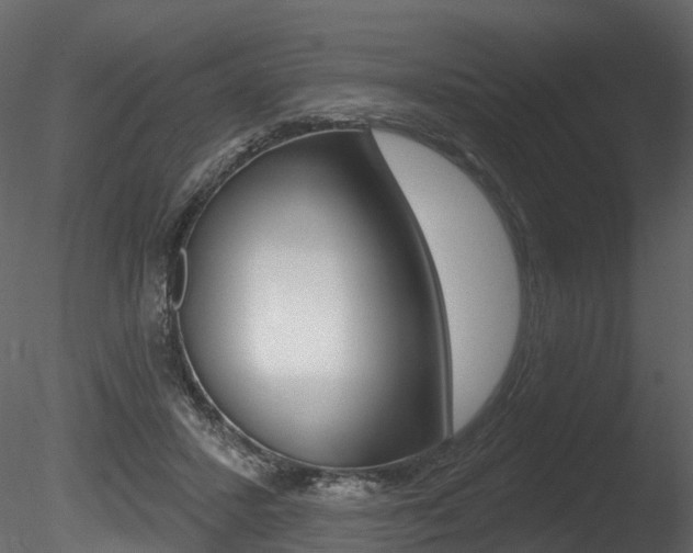 X0000085820407200703161101