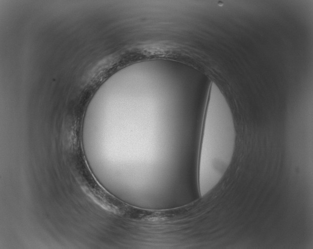 X0000085820408200703161101