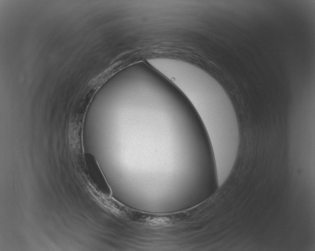 X0000085820409200703161101