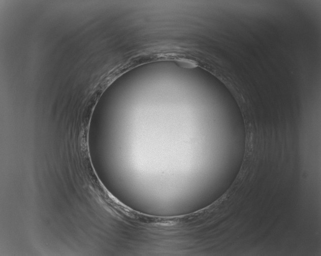 X0000085820411200703161101
