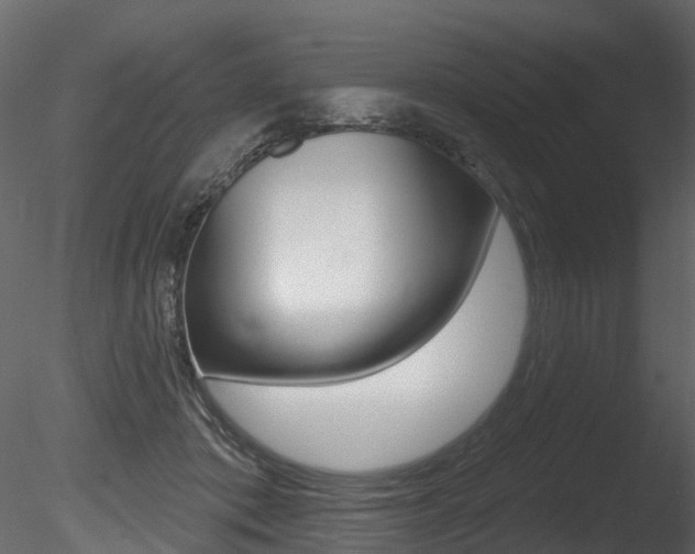 X0000085820413200703161101