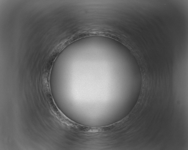 X0000085820415200703161101