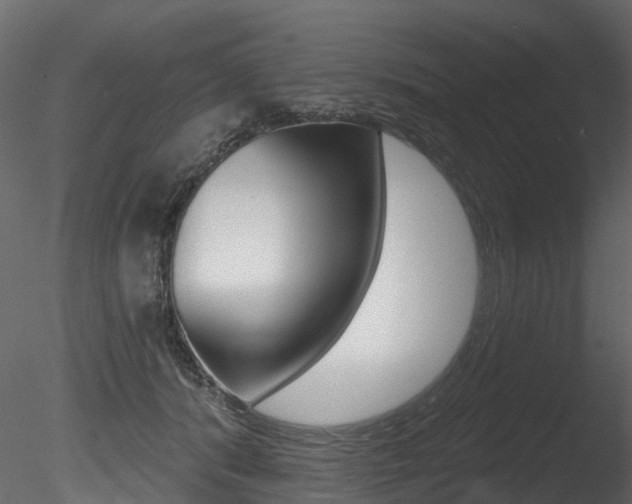 X0000085820416200703161101