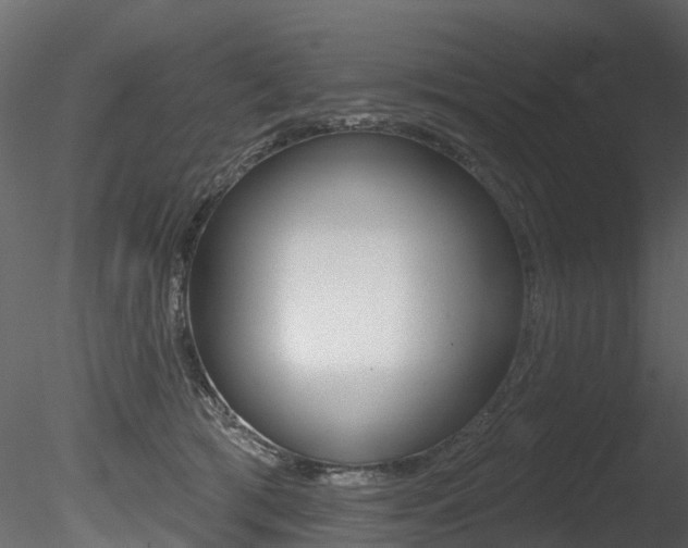 X0000085820417200703161101