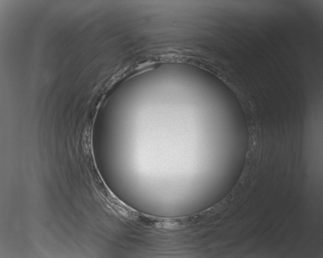 X0000085820419200703161101
