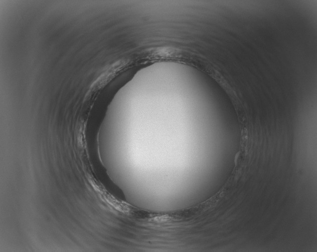X0000085820423200703161101