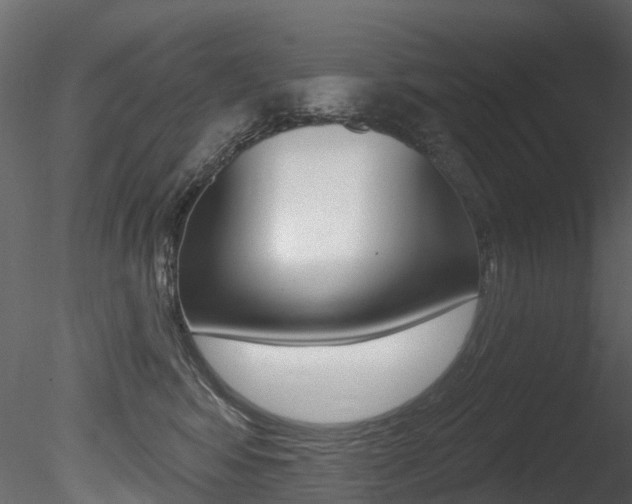 X0000085820424200703161101