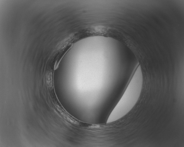 X0000085820425200703161101