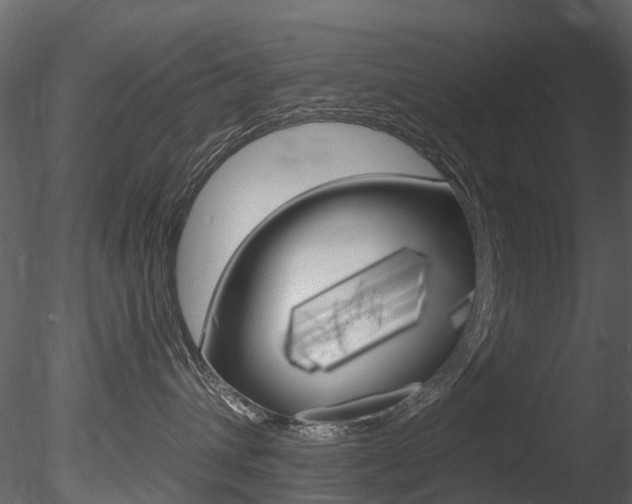 X0000085820432200703161101