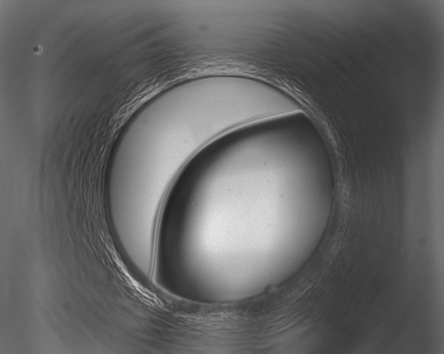 X0000085820433200703161100