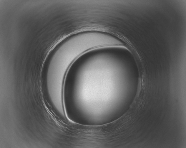 X0000085820436200703161100