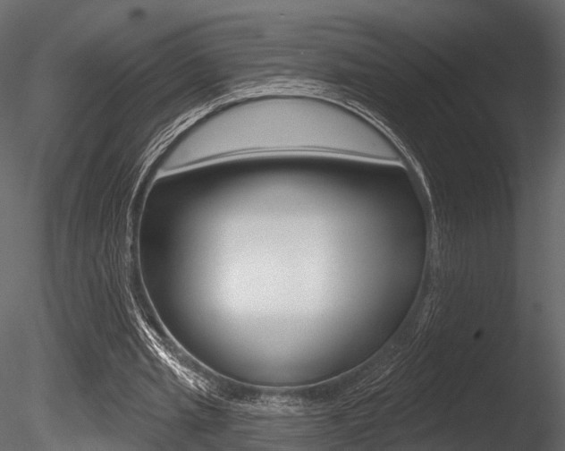 X0000085820437200703161100