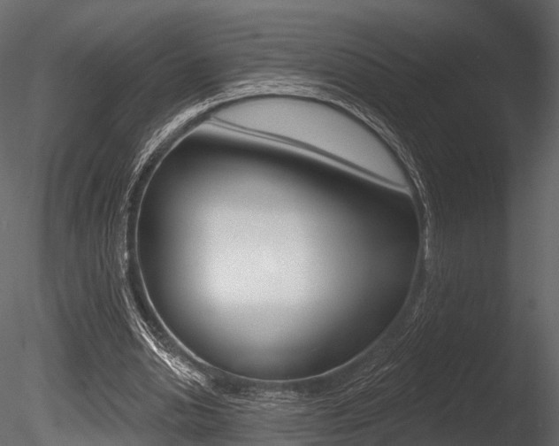 X0000085820438200703161100