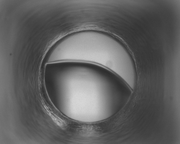 X0000085820439200703161100