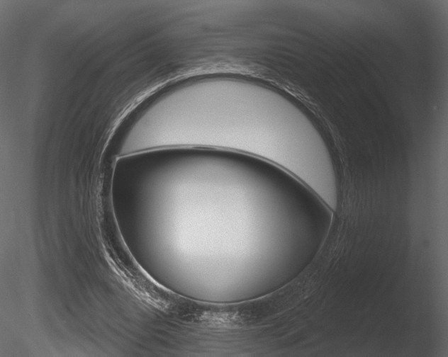 X0000085820440200703161100