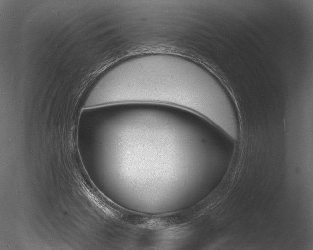 X0000085820441200703161100