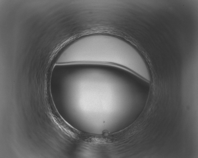 X0000085820442200703161100