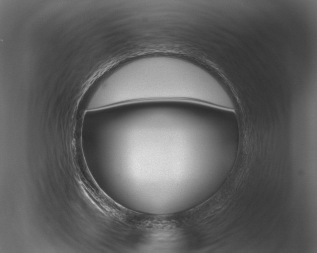 X0000085820443200703161100