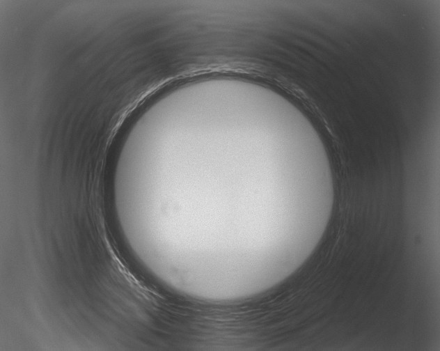 X0000085820444200703161100