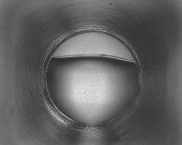 X0000085820445200703161100