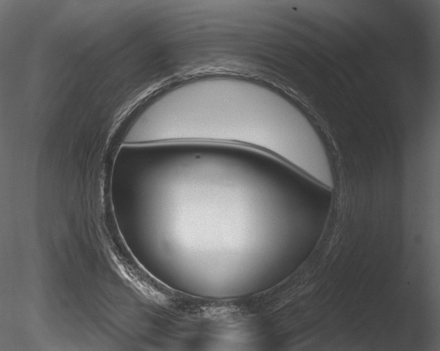 X0000085820446200703161100