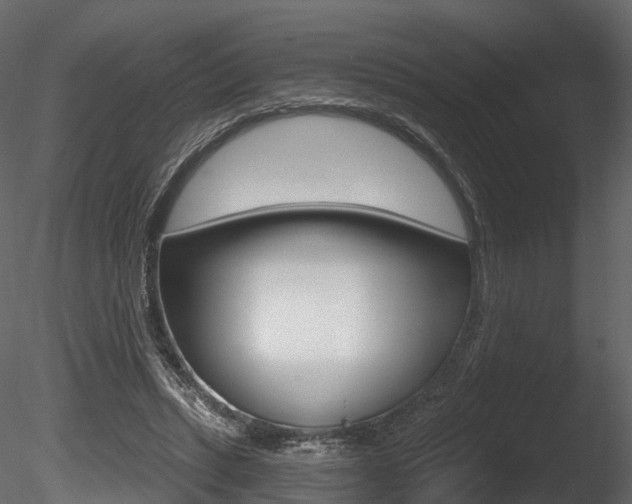 X0000085820447200703161100