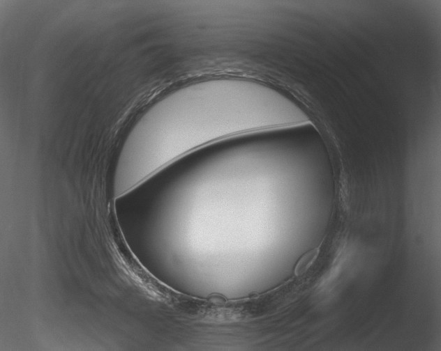 X0000085820449200703161100