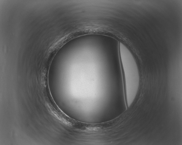 X0000085820450200703161100