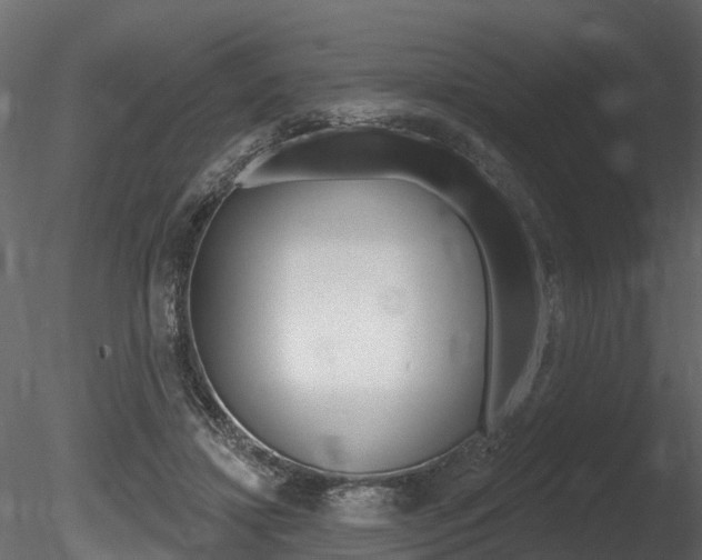 X0000085820452200703161100