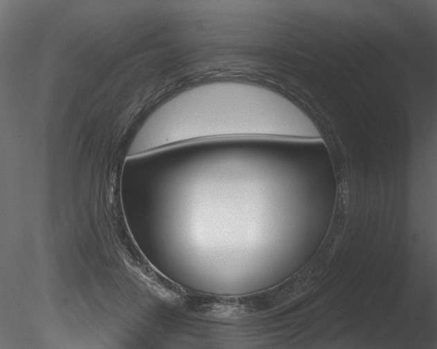 X0000085820458200703161100